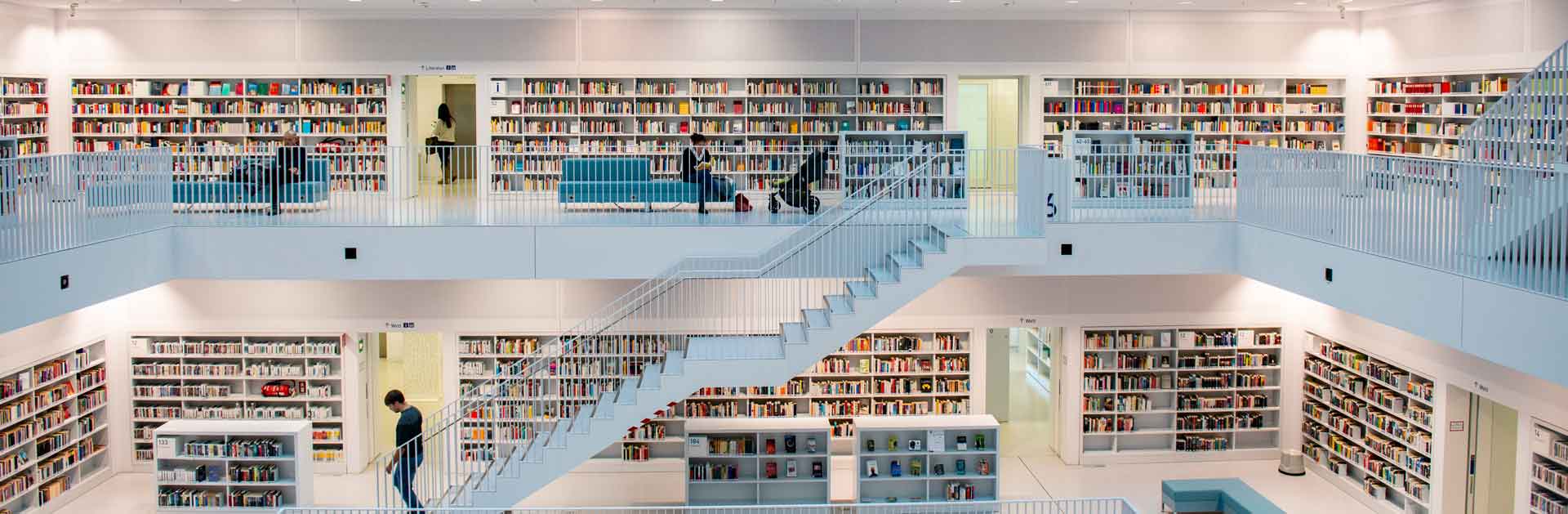 informationen experten mitglieder medical network stiftung