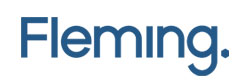 Fleming Finanz-IT GmbH Fleming Finanz-IT GmbH